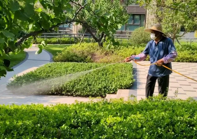 魯商服務(wù)全面開展專項消殺行動，筑牢社區(qū)健康防線